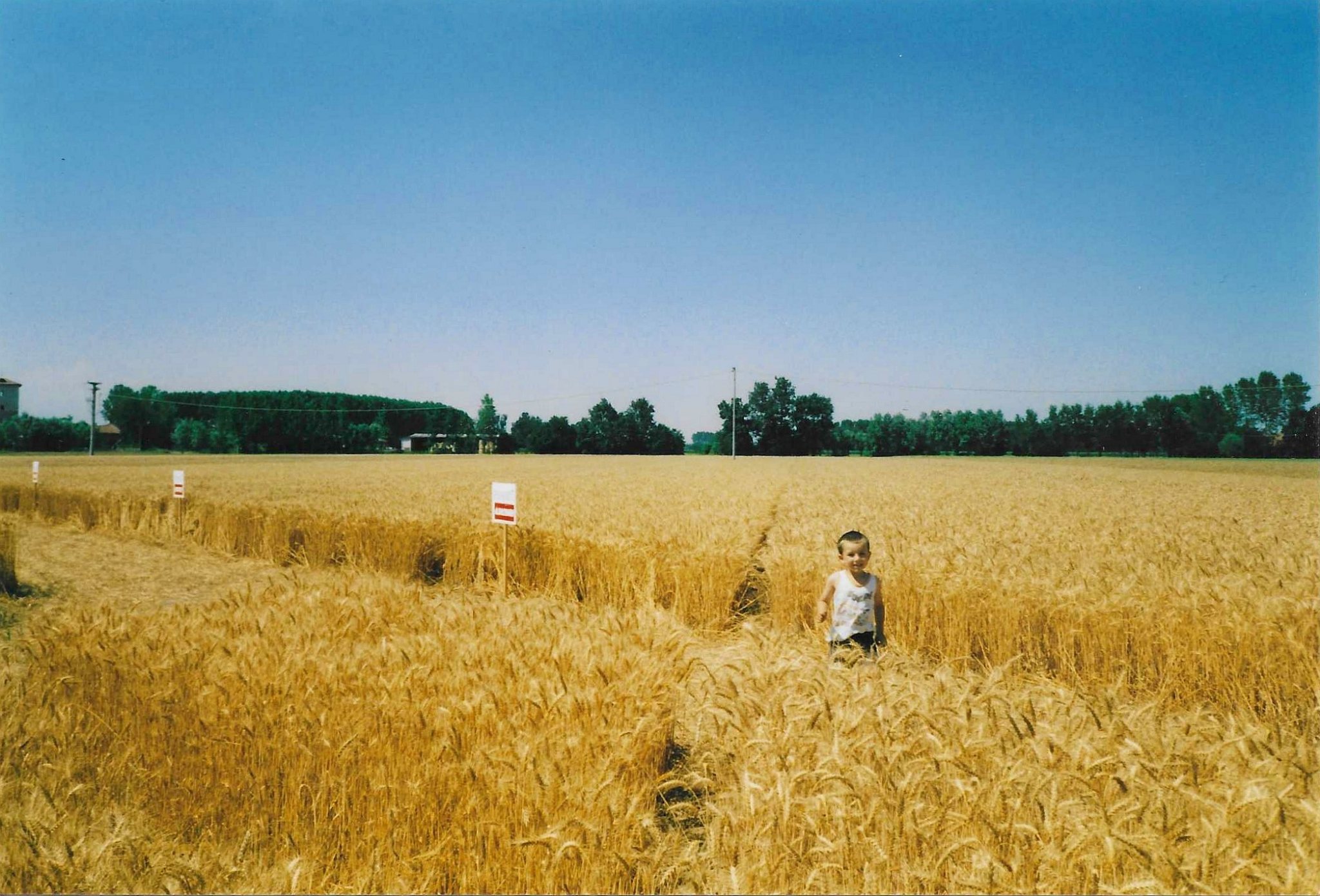 Fotografia aziendale 8